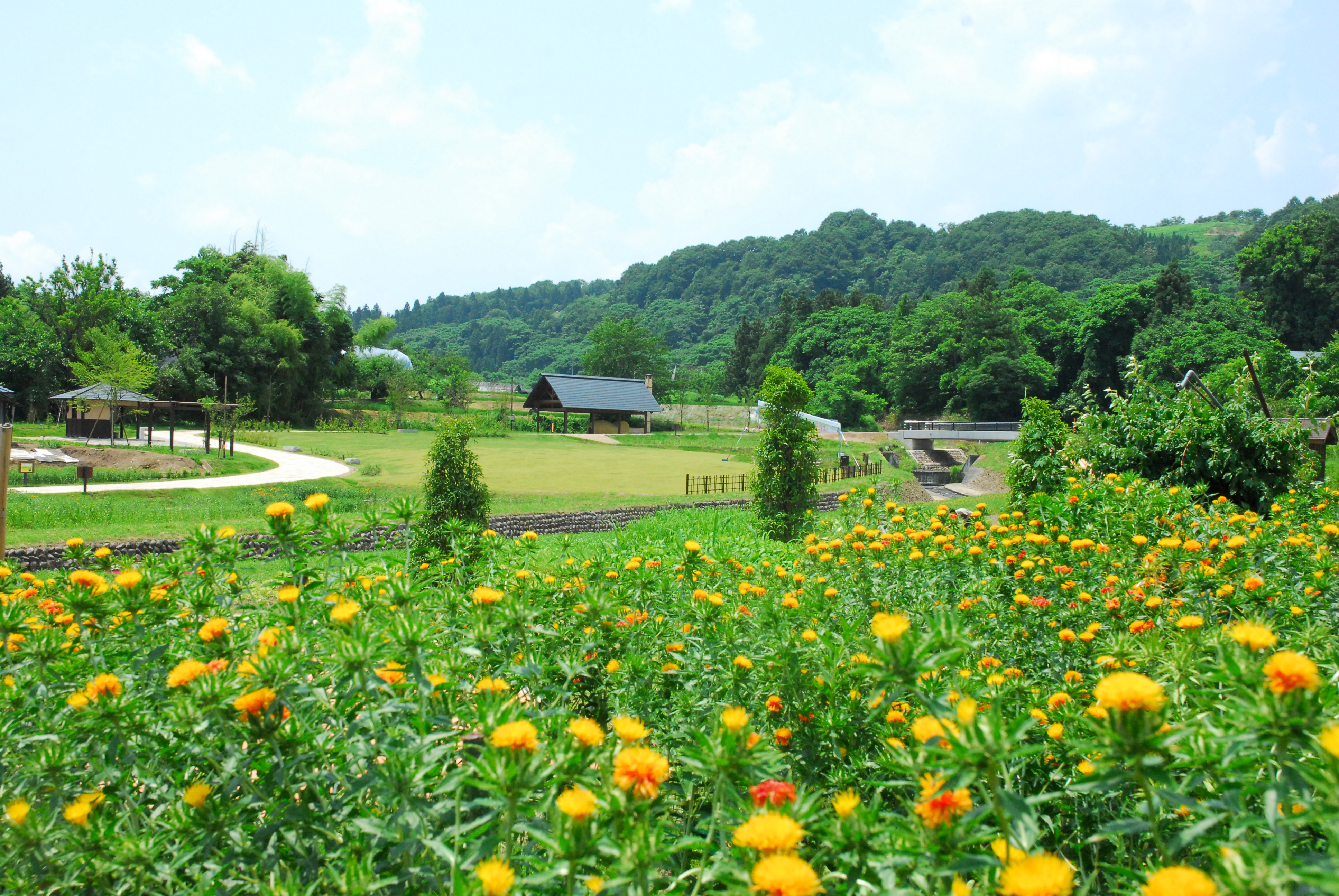 河北町の風景