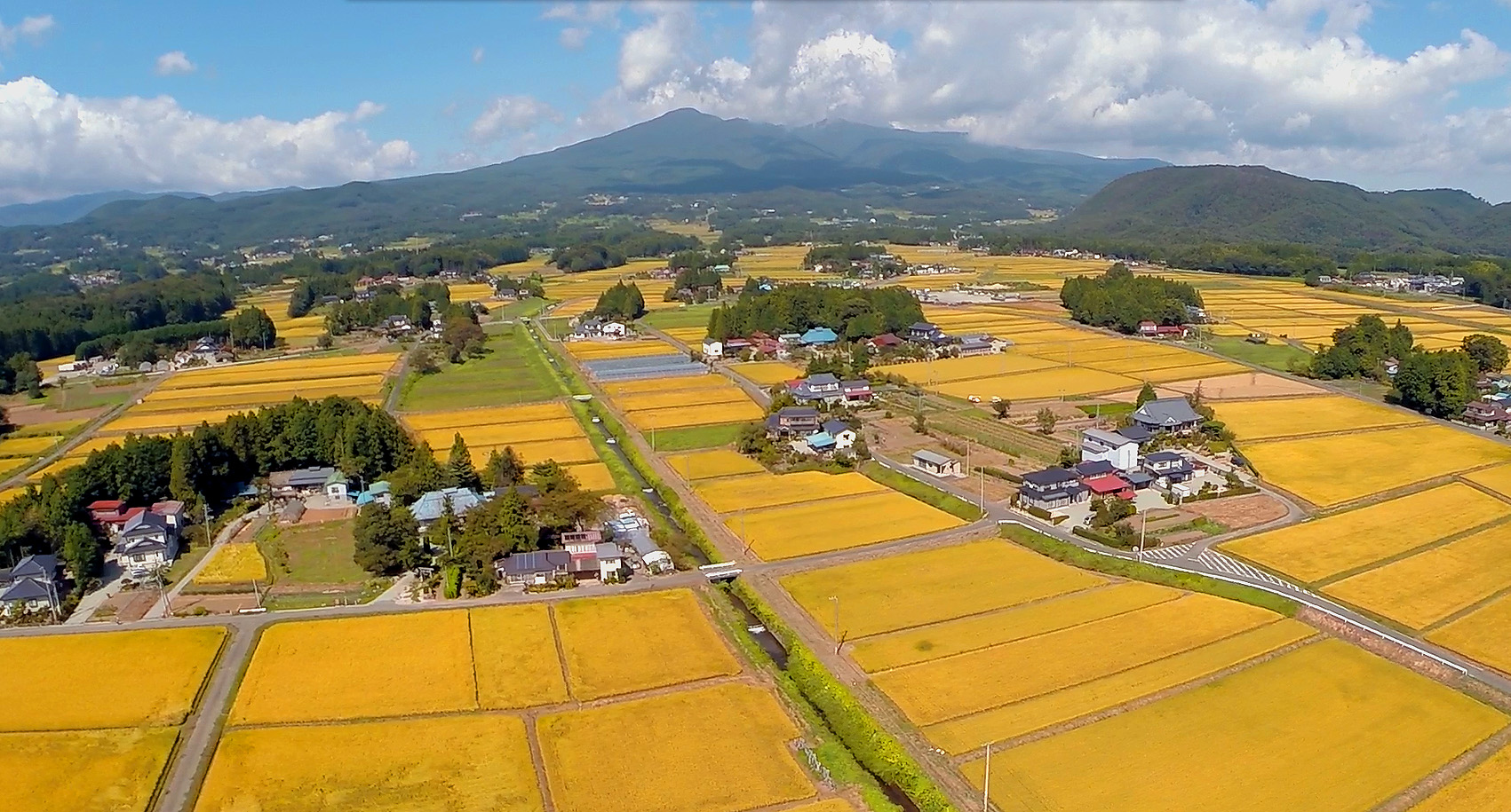大玉村の風景