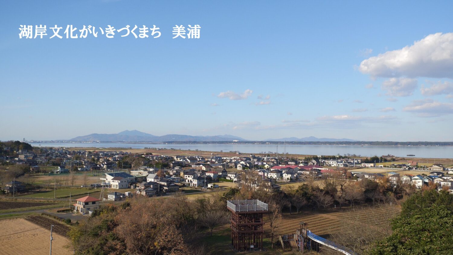 美浦村の風景