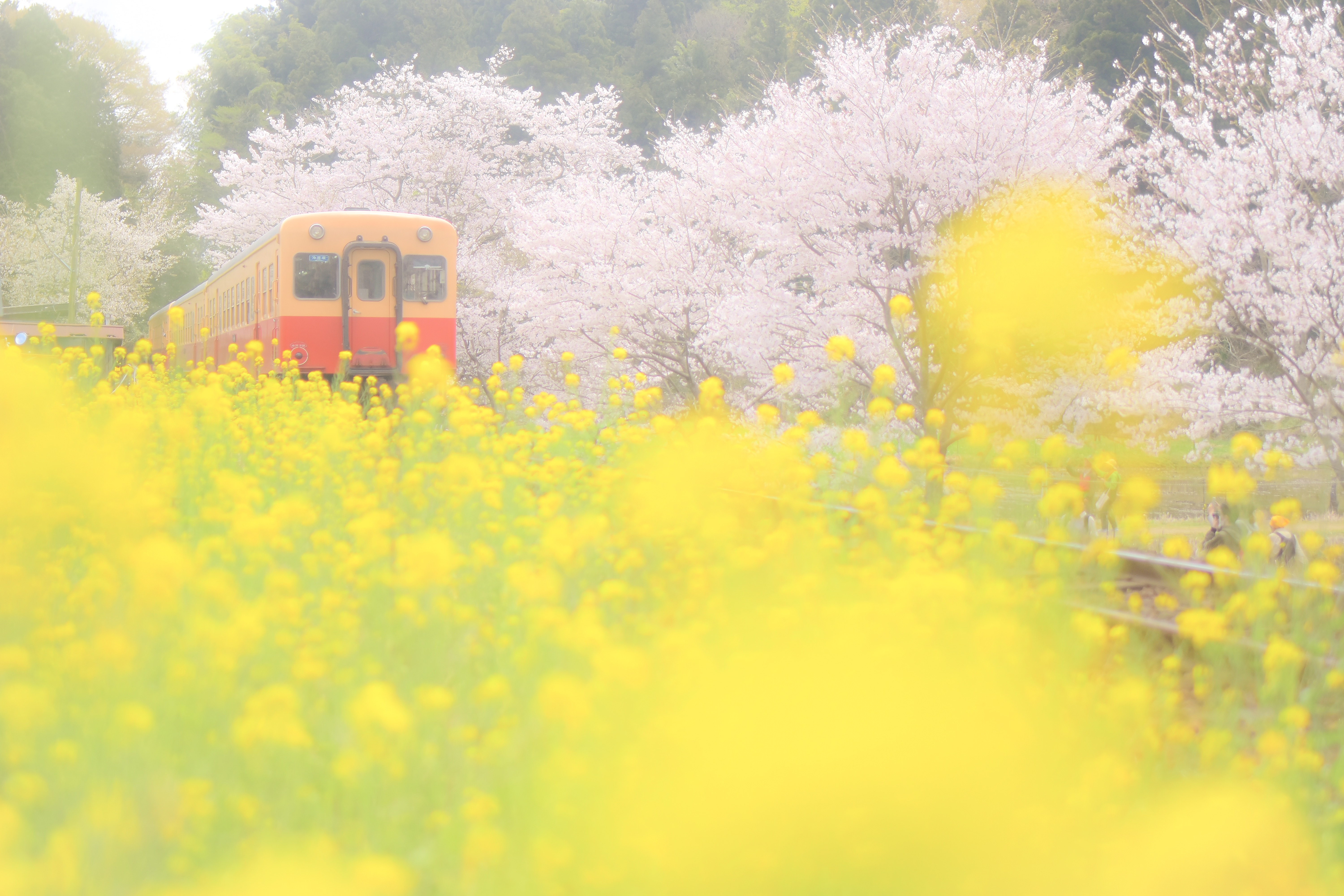 市原市の風景