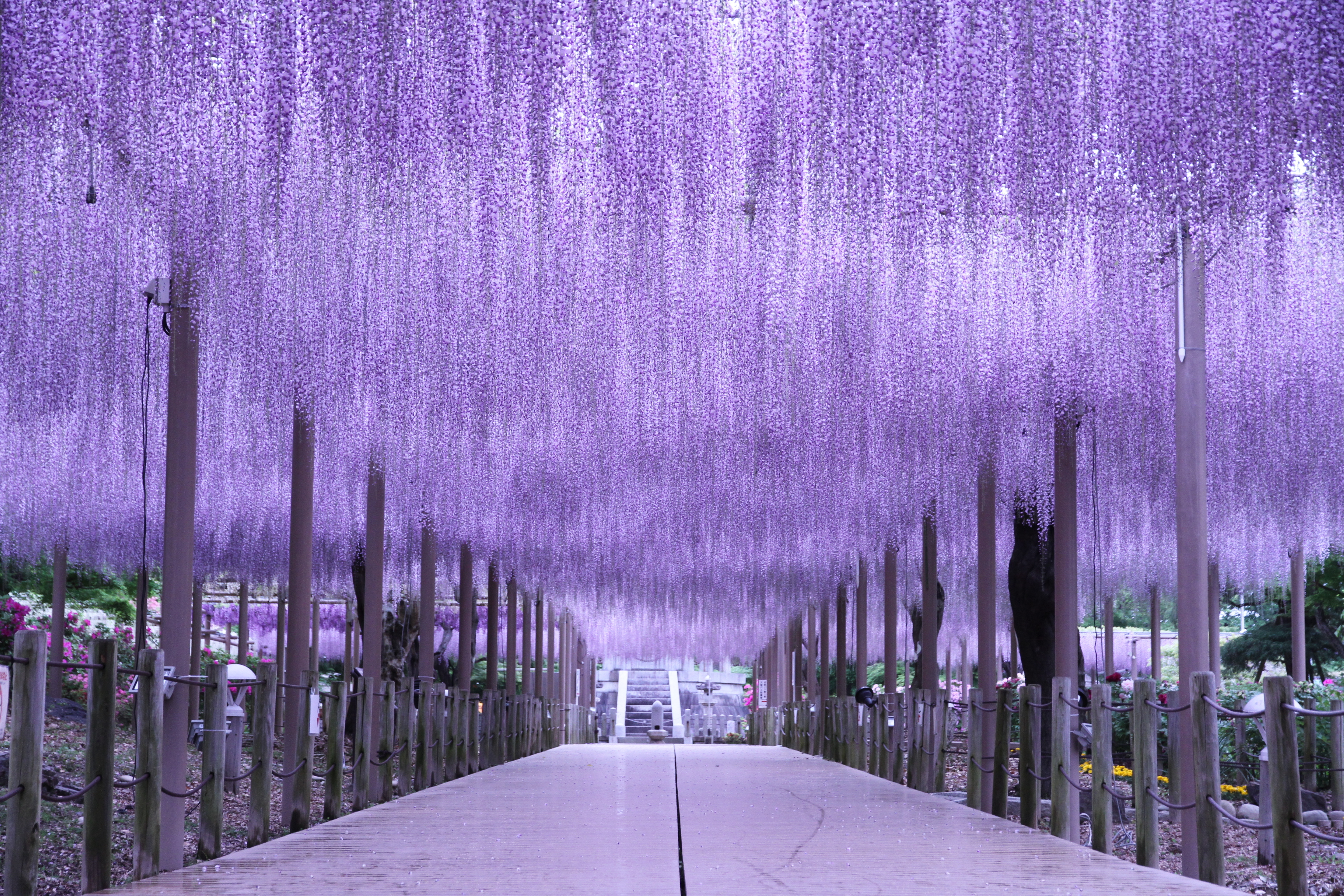 江南市の風景