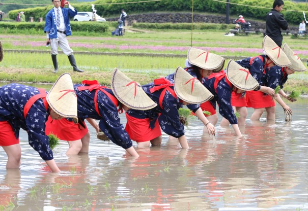 南丹市の風景
