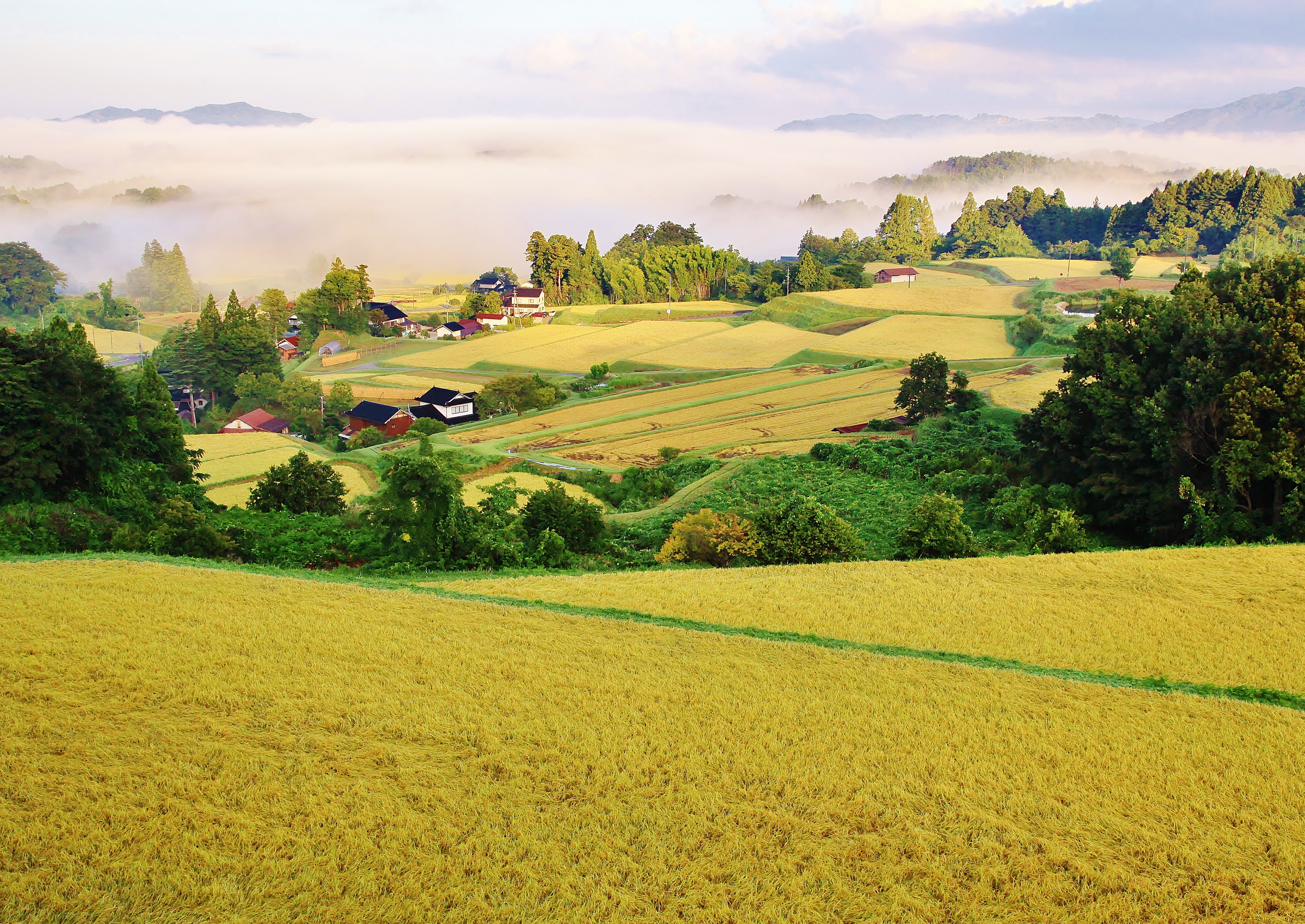 奥出雲町の風景
