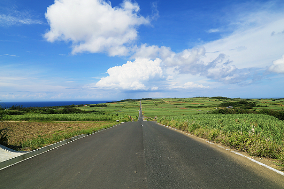 喜界町の風景