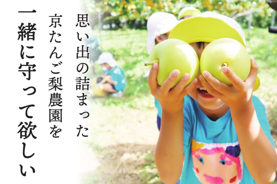 活動実績