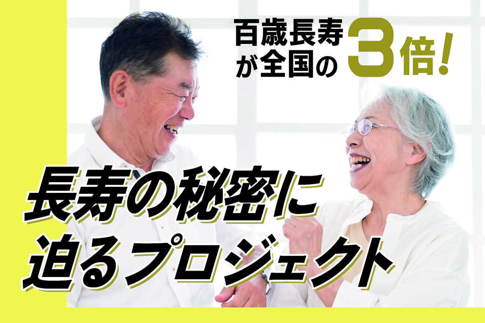活動実績